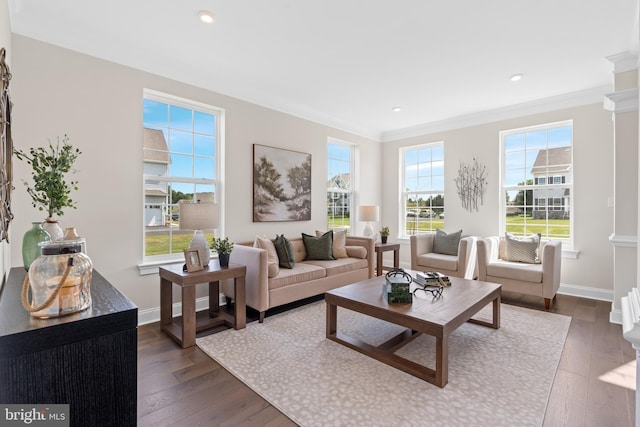 living room featuring dark wood-type flooring and ornamental molding