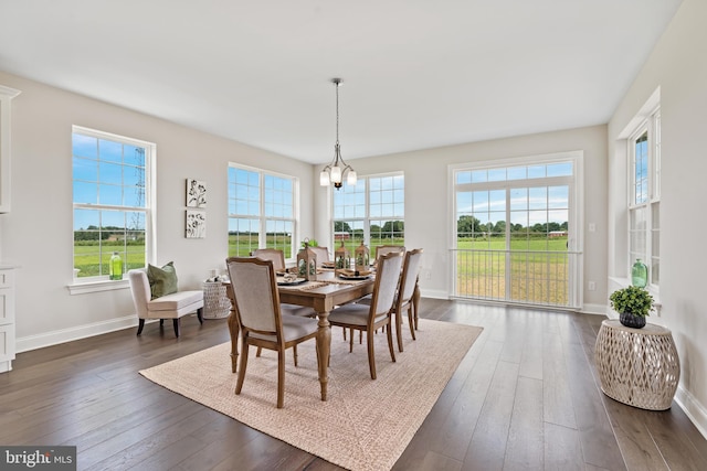 dining room with dark hardwood / wood-style floors and a chandelier