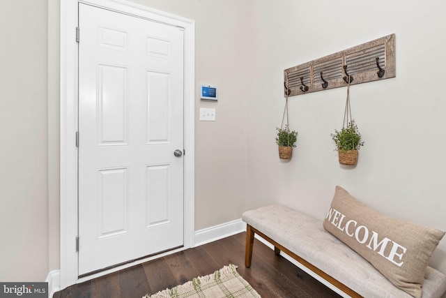 mudroom featuring dark hardwood / wood-style flooring