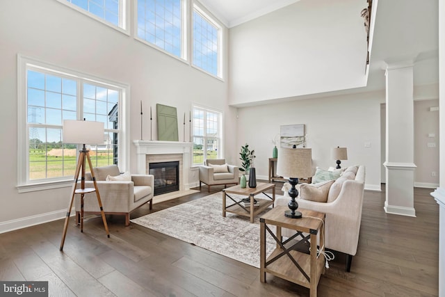 living room featuring a healthy amount of sunlight, a towering ceiling, and dark hardwood / wood-style floors