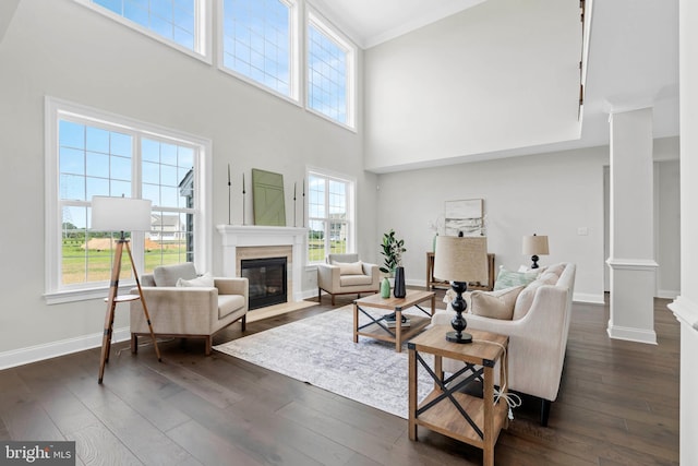 living room featuring a towering ceiling and dark wood-type flooring