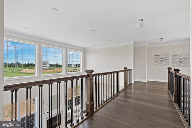 corridor with crown molding and dark hardwood / wood-style floors