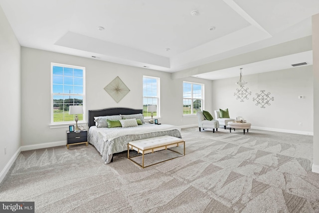 carpeted bedroom featuring a raised ceiling