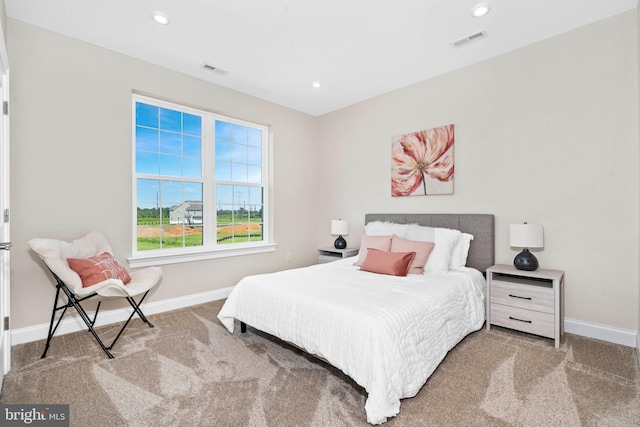 view of carpeted bedroom