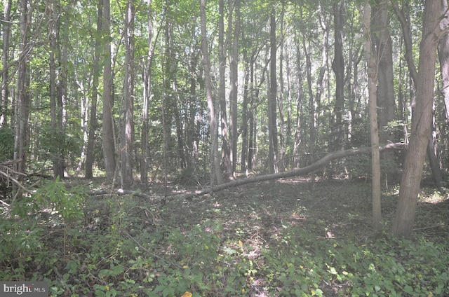 Listing photo 2 for LOT23 Prentice Point Dr, Kilmarnock VA 22482