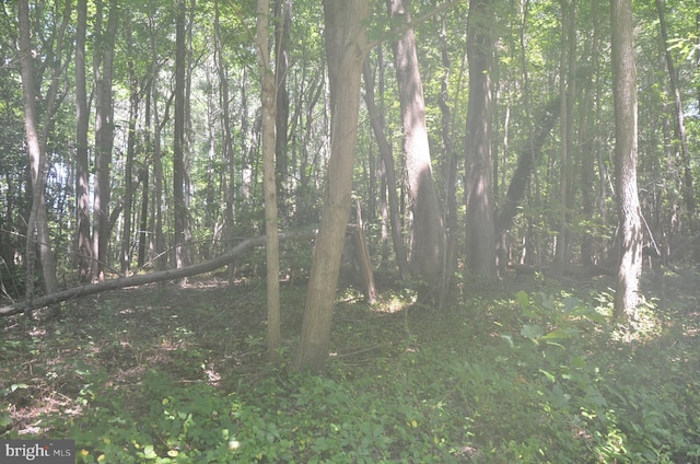 Listing photo 3 for LOT23 Prentice Point Dr, Kilmarnock VA 22482