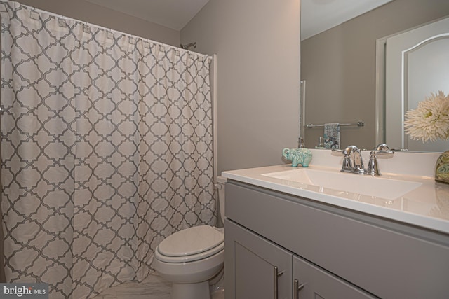 bathroom featuring vanity with extensive cabinet space and toilet