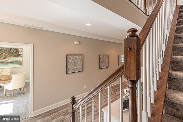 staircase with dark colored carpet