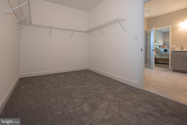 walk in closet with light carpet