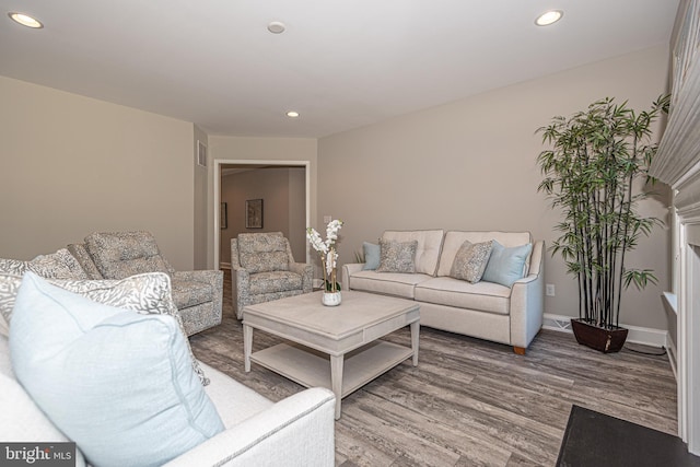 living room with hardwood / wood-style flooring