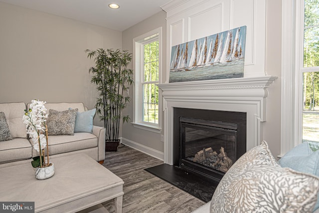 living room featuring dark hardwood / wood-style floors