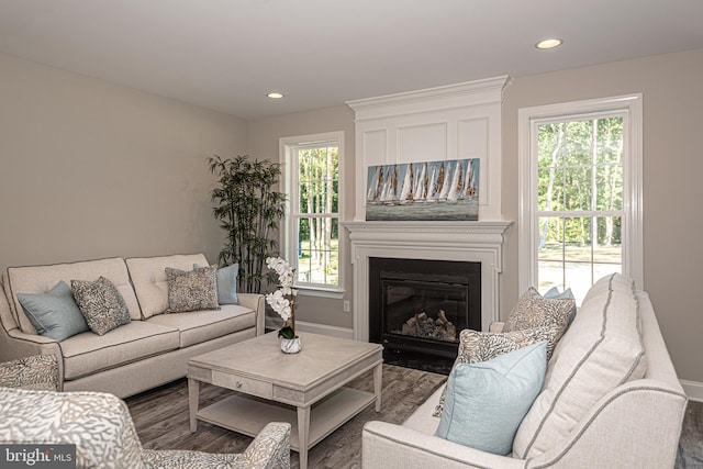 living room with dark wood-type flooring