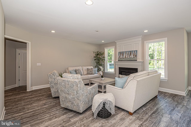 living room featuring dark wood-type flooring