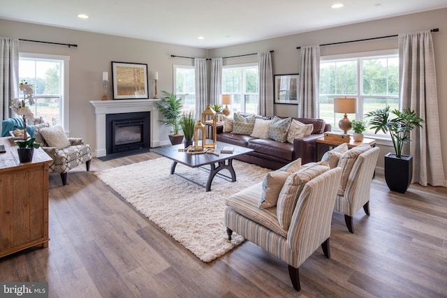 living room with wood-type flooring and a healthy amount of sunlight