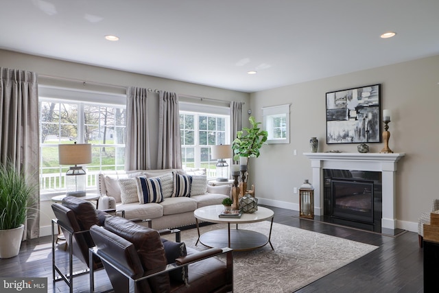 living room with a healthy amount of sunlight and dark hardwood / wood-style floors