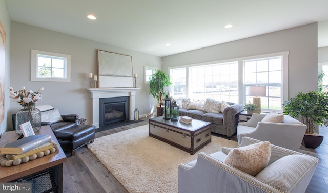 living room featuring wood-type flooring