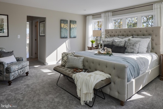 bedroom with carpet floors