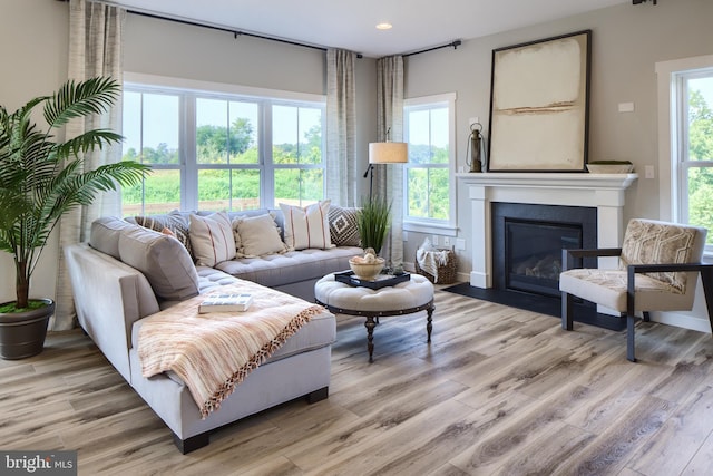 living room featuring light hardwood / wood-style floors