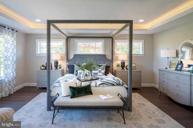 bedroom featuring dark hardwood / wood-style floors, a raised ceiling, and multiple windows