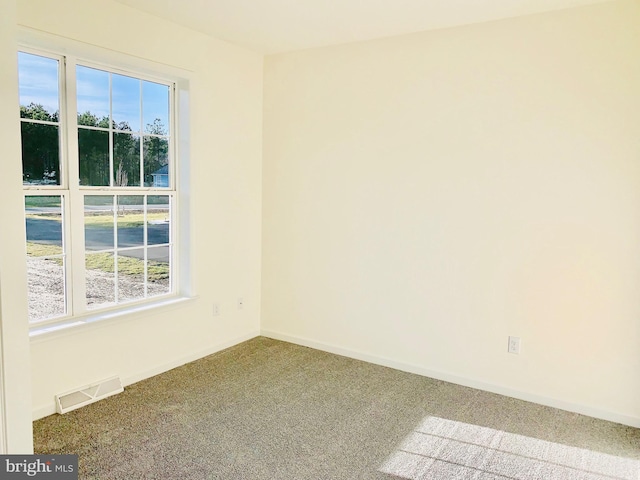 empty room featuring carpet