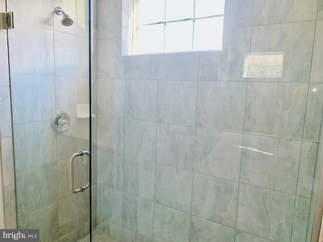 bathroom featuring a shower with shower door