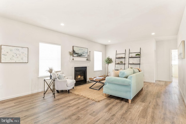 living room featuring hardwood / wood-style flooring