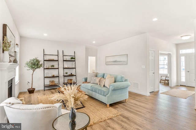 living room featuring hardwood / wood-style flooring