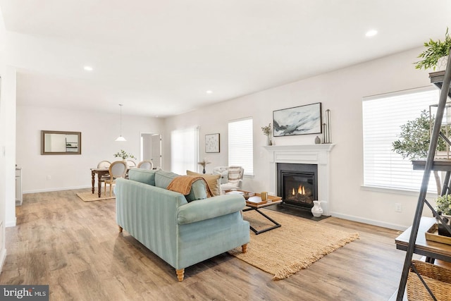 living room with wood-type flooring