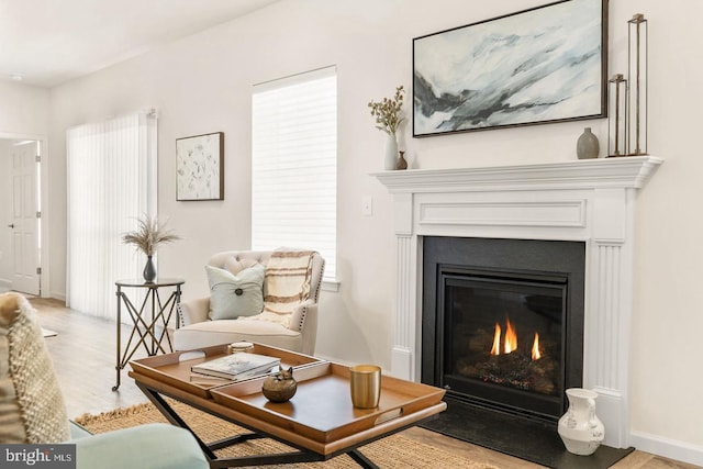 sitting room with hardwood / wood-style floors