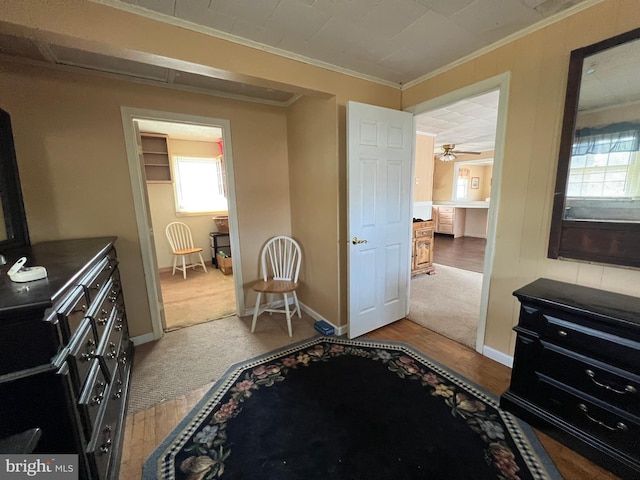 carpeted bedroom with multiple windows and crown molding