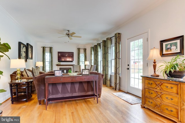 living room with ceiling fan, crown molding, and light wood-type flooring