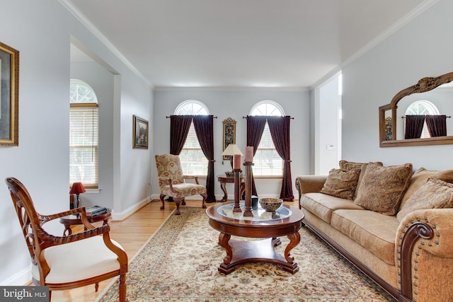 living room featuring ornamental molding and light hardwood / wood-style floors