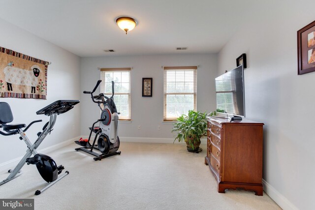 workout area with light carpet