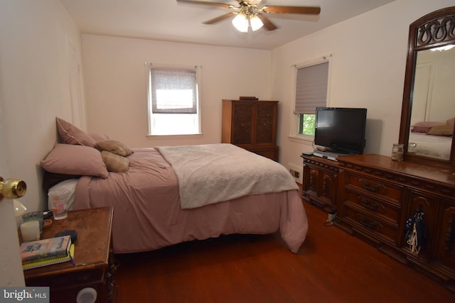 bedroom with dark hardwood / wood-style flooring, ceiling fan, and multiple windows