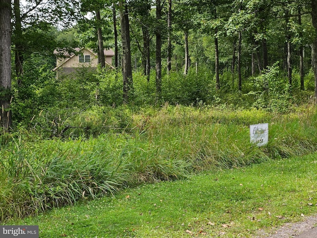 Listing photo 2 for LOT54 Biltmore Ridge Trl, Mc Henry MD 21541