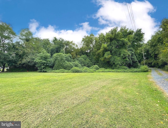 LOT26 Silver Maple Dr, Lincoln DE, 19960 land for sale