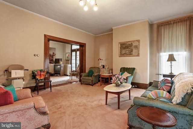 living room with carpet flooring and crown molding