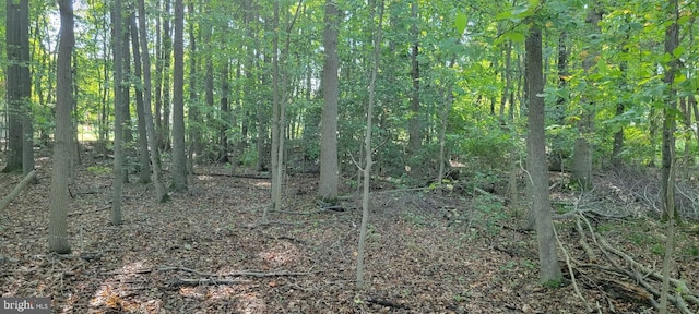 Listing photo 3 for Beech Ln Unit Parcel 27, Accokeek MD 20607