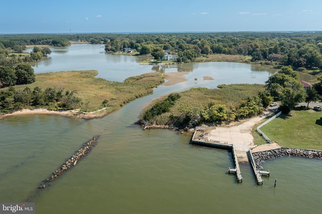 bird's eye view with a water view and a view of trees