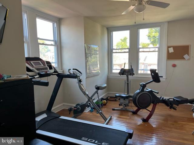 exercise area with ceiling fan and hardwood / wood-style flooring