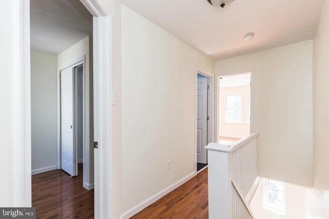 corridor featuring dark hardwood / wood-style flooring