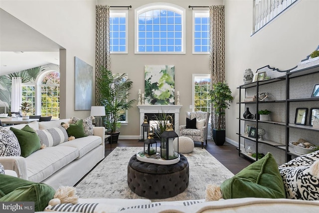 living room with a high ceiling and dark hardwood / wood-style flooring