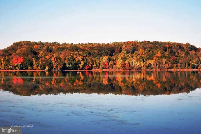 water view featuring a view of trees