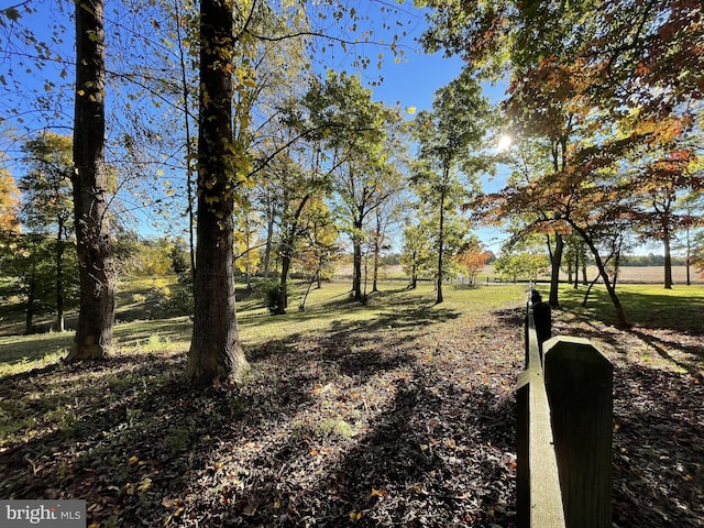 317 Coles Point Rd, Hague, VA 22469 - view of yard