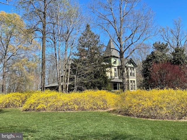 317 Coles Point Rd, Hague, VA 22469 - view of green lawn