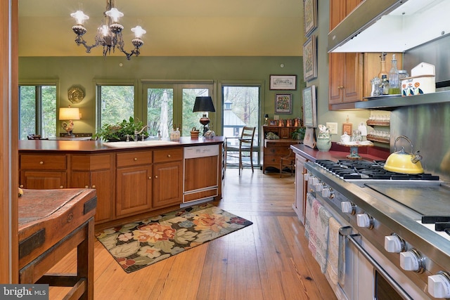 kitchen with dishwasher, light wood-type flooring, a healthy amount of sunlight, and exhaust hood