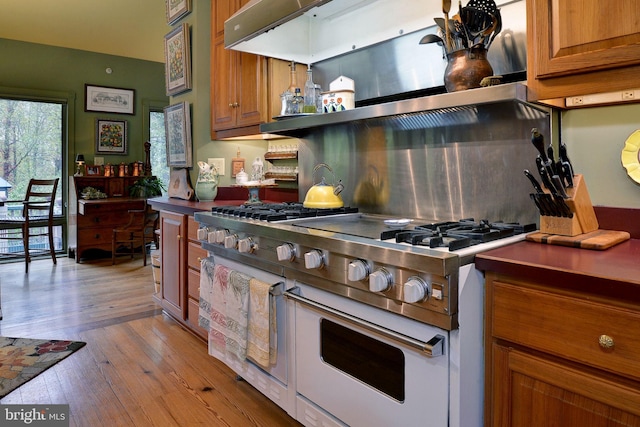 kitchen featuring light wood-type flooring and stainless steel stove