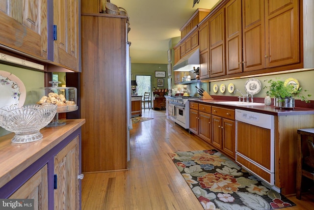 kitchen featuring light hardwood / wood-style floors, stainless steel range, white dishwasher, sink, and butcher block countertops