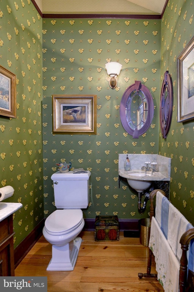 bathroom featuring hardwood / wood-style flooring and toilet