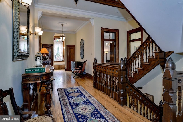 entryway with crown molding and wood-type flooring